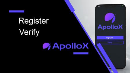 ApolloX에서 계정을 등록하고 확인하는 방법